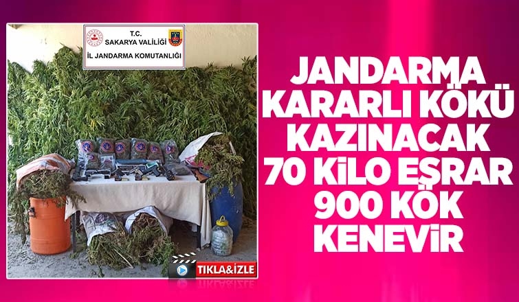 Akyazı'da 70 kilo esrar ele geçirildi: 3 gözaltı