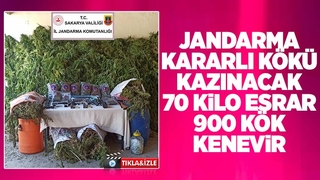 Akyazı'da 70 kilo esrar ele geçirildi: 3 gözaltı