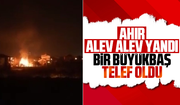 Akyazı'da ahır yandı