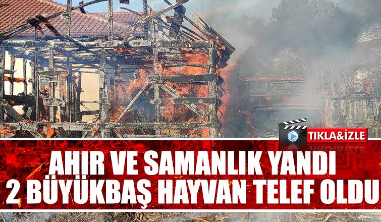 Akyazı'da ahır yangınında iki büyükbaş hayvan telef oldu