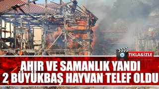 Akyazı'da ahır yangınında iki büyükbaş hayvan telef oldu