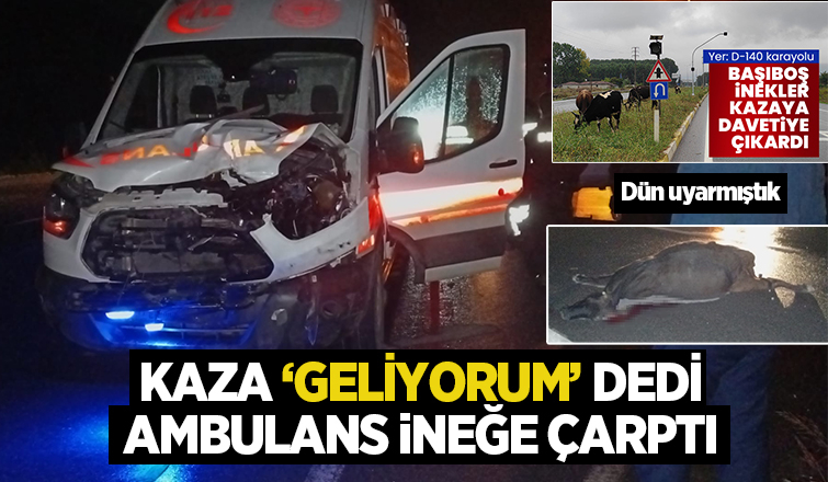 Akyazı'da ambulans ineğe çarptı