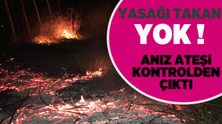 Akyazı'da anız ateşi ağaçları kül edecekti