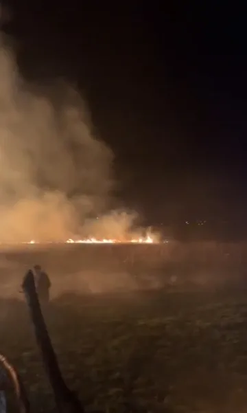 Akyazı'da arazi yangını