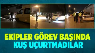 Akyazı'da asayiş ve trafik uygulaması