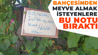 Akyazı'da bahçe sahibinden örnek davranış