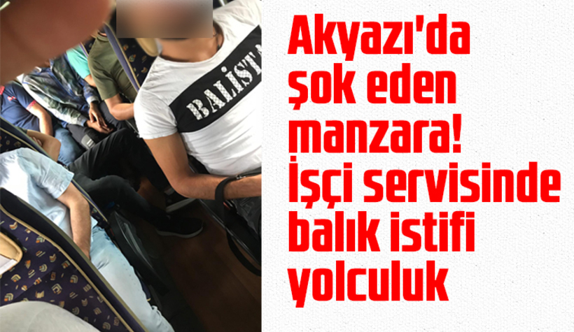 Akyazı'da balık istifi yolculuk! Korona servisi