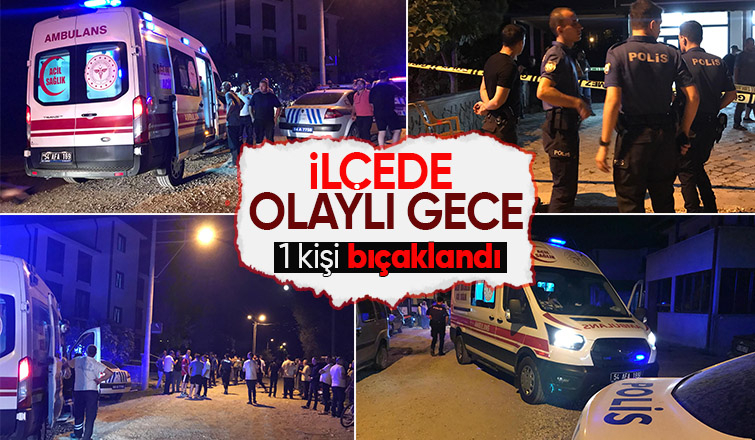 Kardeşlerin kavgasını ayırırken bıçaklandı