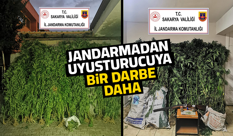 Akyazı'da büyük uyuşturucu operasyonu