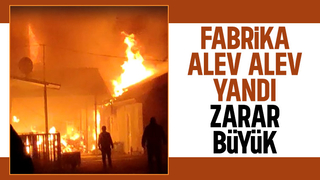 Akyazı'da büyük yangın