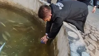 Akyazı'da çevre felaketi; Alabalık tesisinde ve deredeki balıklar öldü