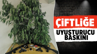 Akyazı'da çiftliğe uyuşturucu operasyonu