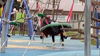 Akyazı'da çocuk parkında uygunsuz görüntüler