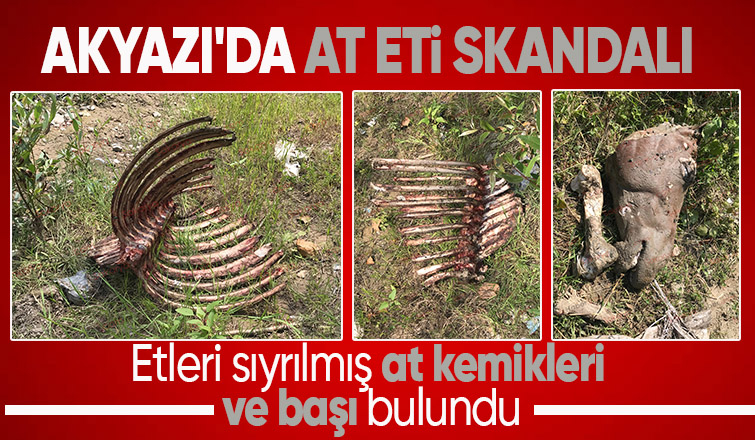 Akyazı da etleri sıyrılmış at kemikleri bulundu