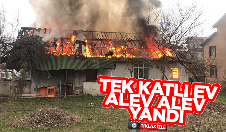 Akyazı'da ev alevlere teslim oldu
