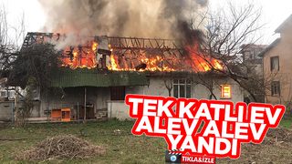 Akyazı'da ev alevlere teslim oldu