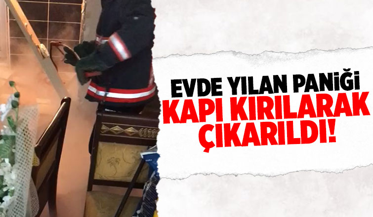 Akyazı'da eve giren yılan paniğe neden oldu
