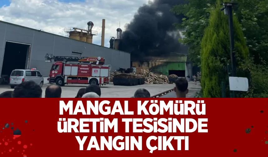 Akyazı'da fabrika yangını
