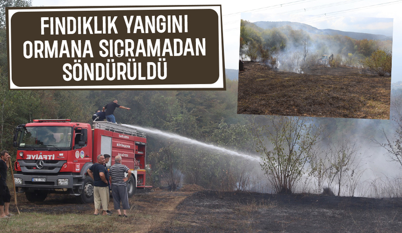 Akyazı'da fındıklık yangını