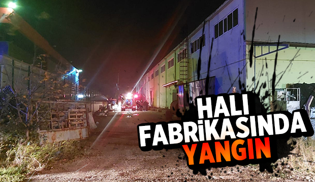 Akyazı'da halı fabrikasında yangın
