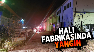 Akyazı'da halı fabrikasında yangın