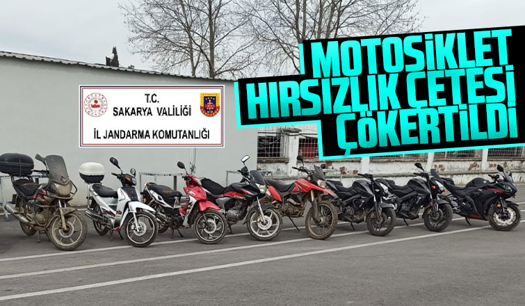 Akyazı'da hırsızlık çetesine operasyon 9 gözaltı