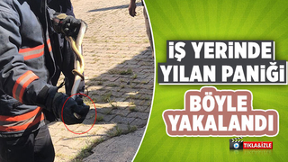 Akyazı'da iş yerinde yılan paniği