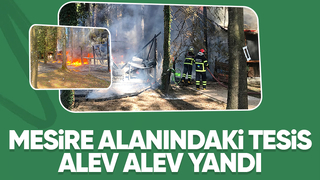 Akyazı'da ahşap tesis alev alev yandı