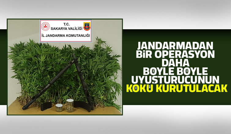 Akyazı'da jandarma operasyonu