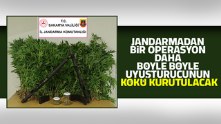 Akyazı'da jandarma operasyonu