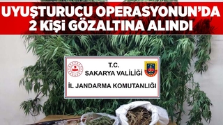 Akyazı'da jandarma uyuşturucu operasyonu