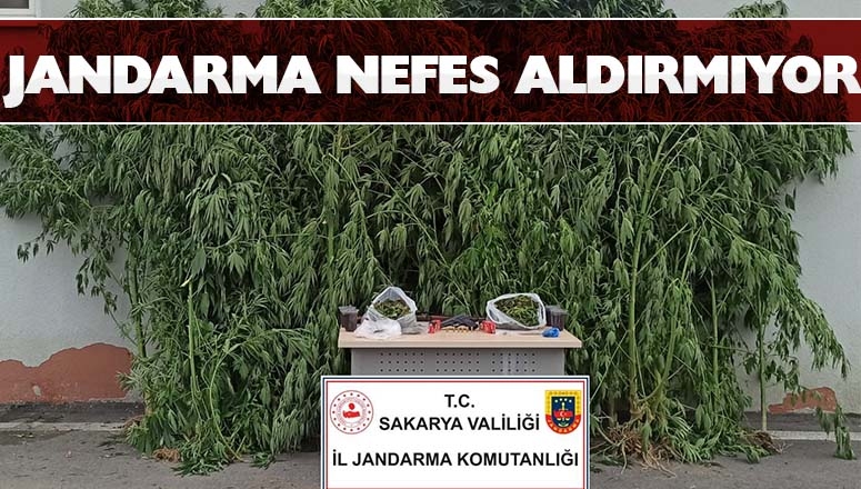 Akyazı'da jandarmadan uyuşturucu operasyonu