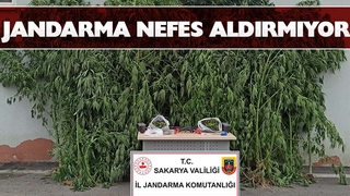 Akyazı'da jandarmadan uyuşturucu operasyonu