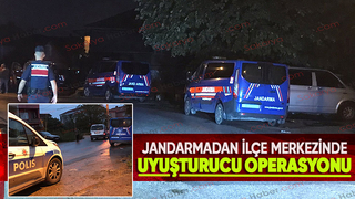 Akyazı'da jandarmadan uyuşturucu operasyonu