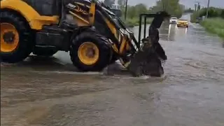 Akyazı'da Kanlıçay deresi şiddetli yağışla taştı