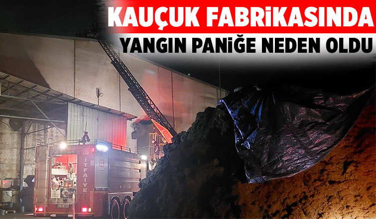 Akyazı'da kauçuk fabrikasında yangın