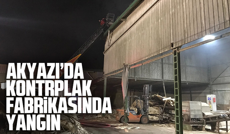 Akyazı'da kontrplak fabrikasında yangın
