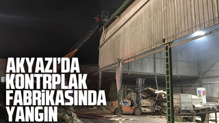 Akyazı'da kontrplak fabrikasında yangın