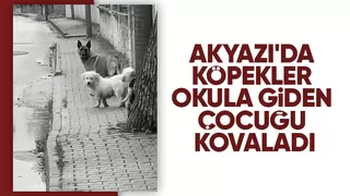 Akyazı'da köpekler okula giden çocuğu kovaladı