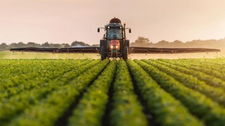 Akyazı'da mahkemeden satılık tarla ve traktör