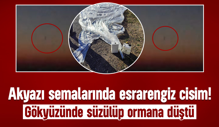 Akyazı'da merak uyandıran olay; Gökyüzünde süzülüp ormana düştü