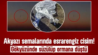 Akyazı'da merak uyandıran olay; Gökyüzünde süzülüp ormana düştü