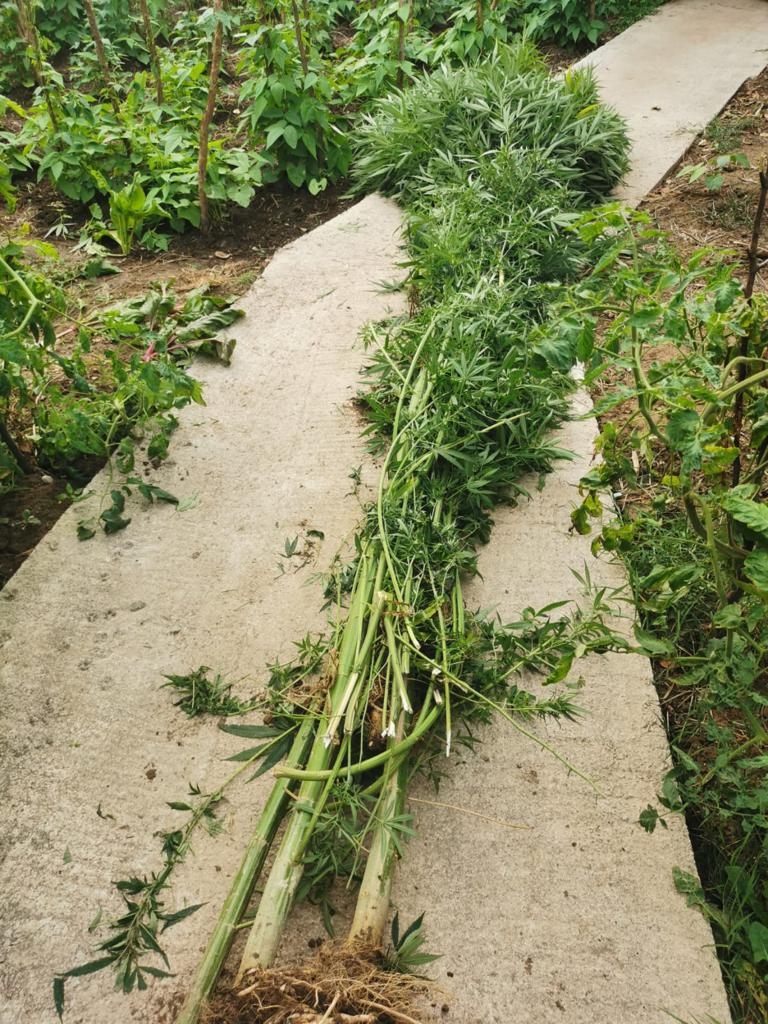 Akyazı'da narkotik operasyonu