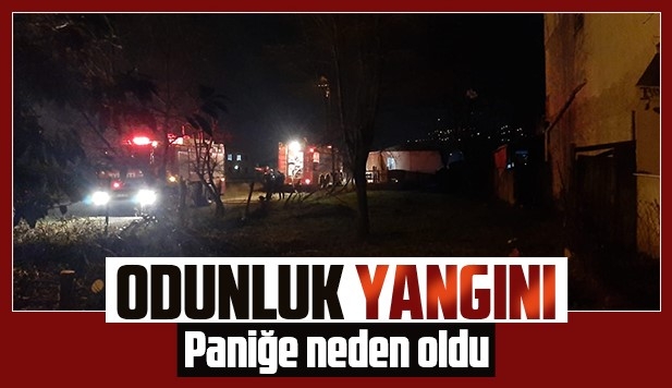 Akyazı'da odunluk yandı
