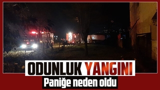 Akyazı'da odunluk yandı