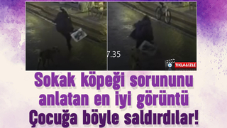 Akyazı'da okuldan dönen çocuğa sokak köpekleri saldırdı