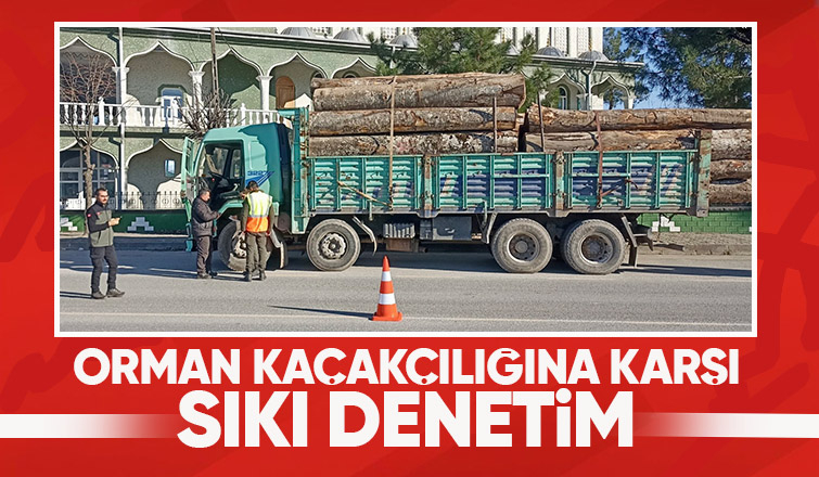 Akyazı da orman kaçakçılığı denetimi