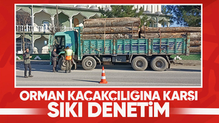 Akyazı da orman kaçakçılığı denetimi