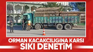 Akyazı da orman kaçakçılığı denetimi