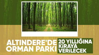 Akyazı'da orman parkı kiraya verilecek